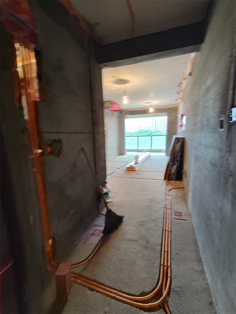 IMG_20240519_161510.jpg