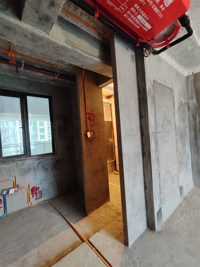 IMG_20240519_161943.jpg