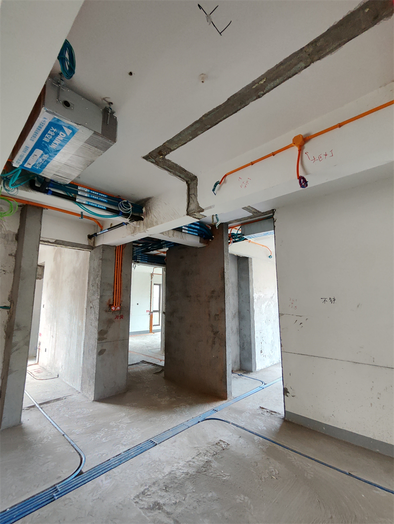 IMG_20240528_083001.jpg