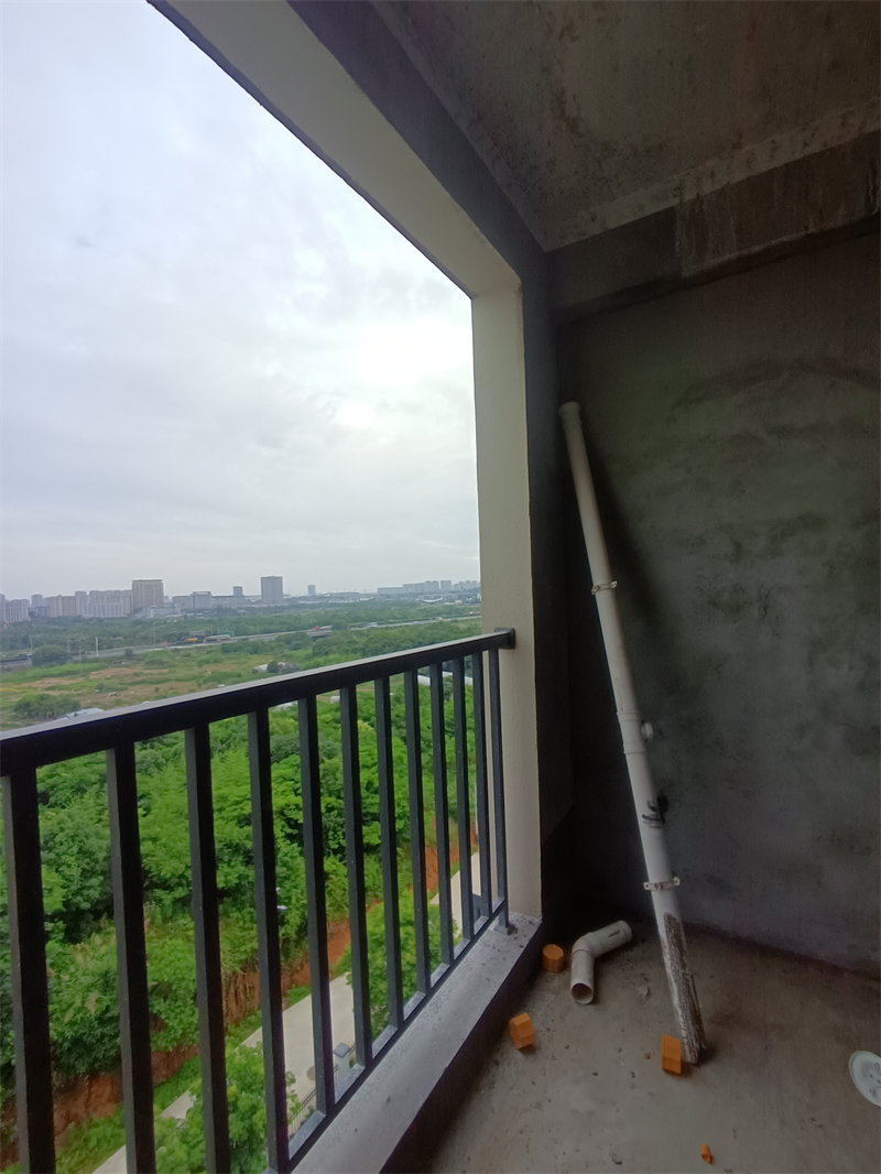 IMG_20240530_165220.jpg