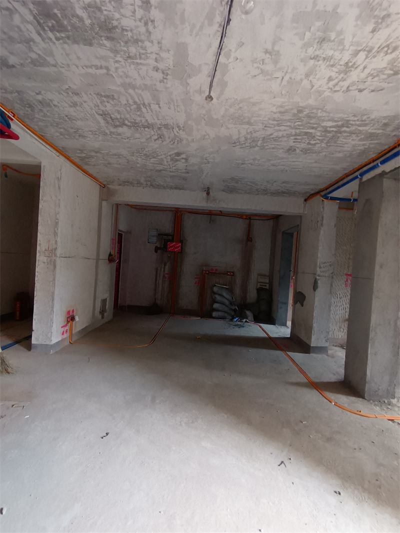 IMG_20240603_095222.jpg