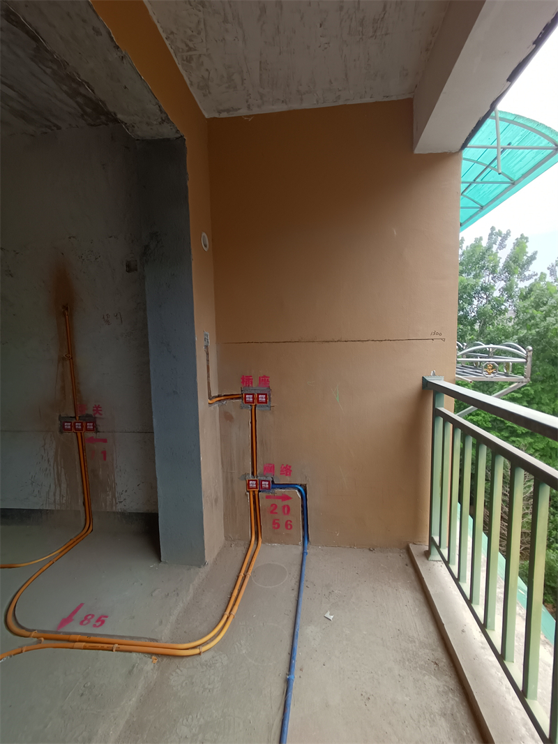 IMG_20240603_095945.jpg