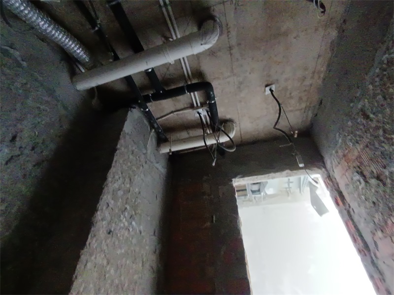IMG_20240606_100401.jpg