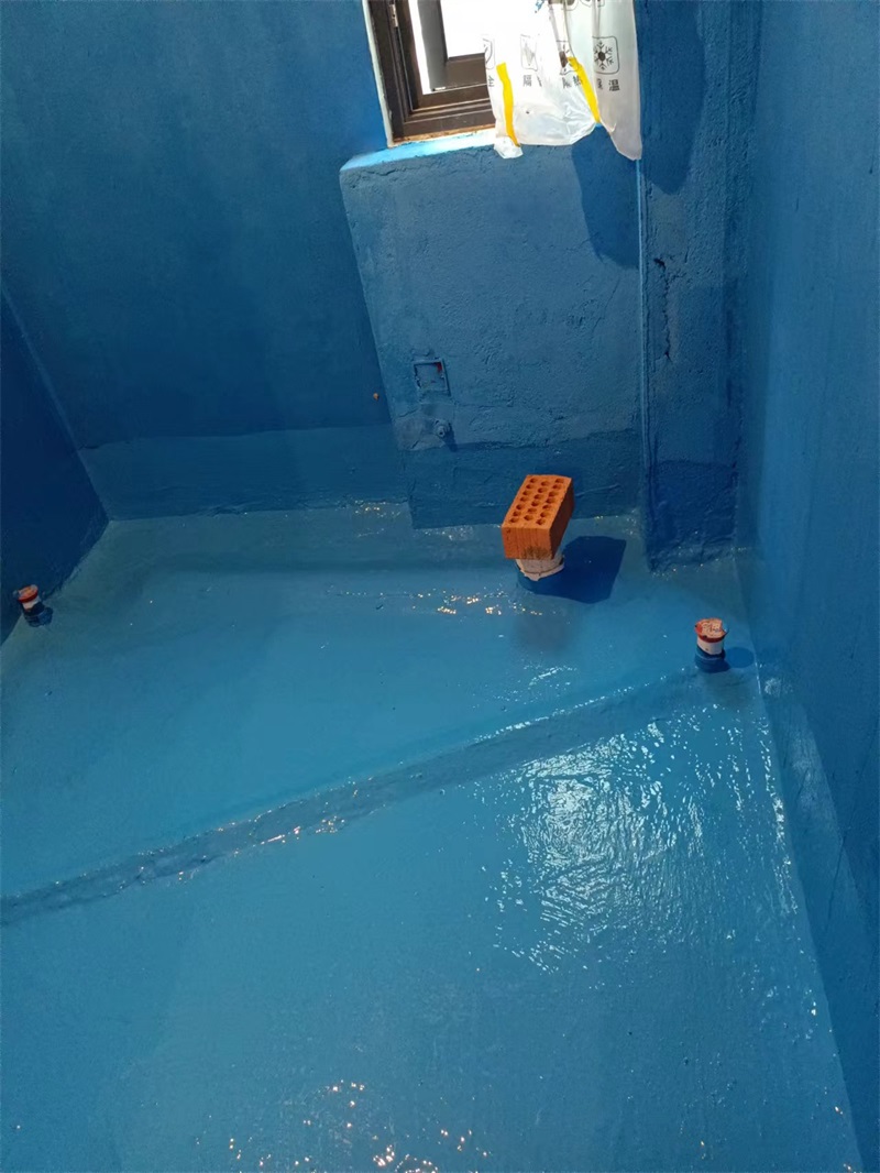 mmexport1717739602566.jpg
