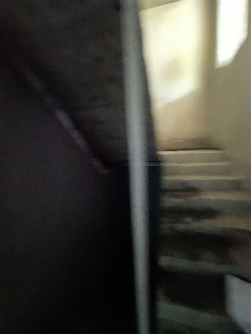 IMG_20240613_111909.jpg