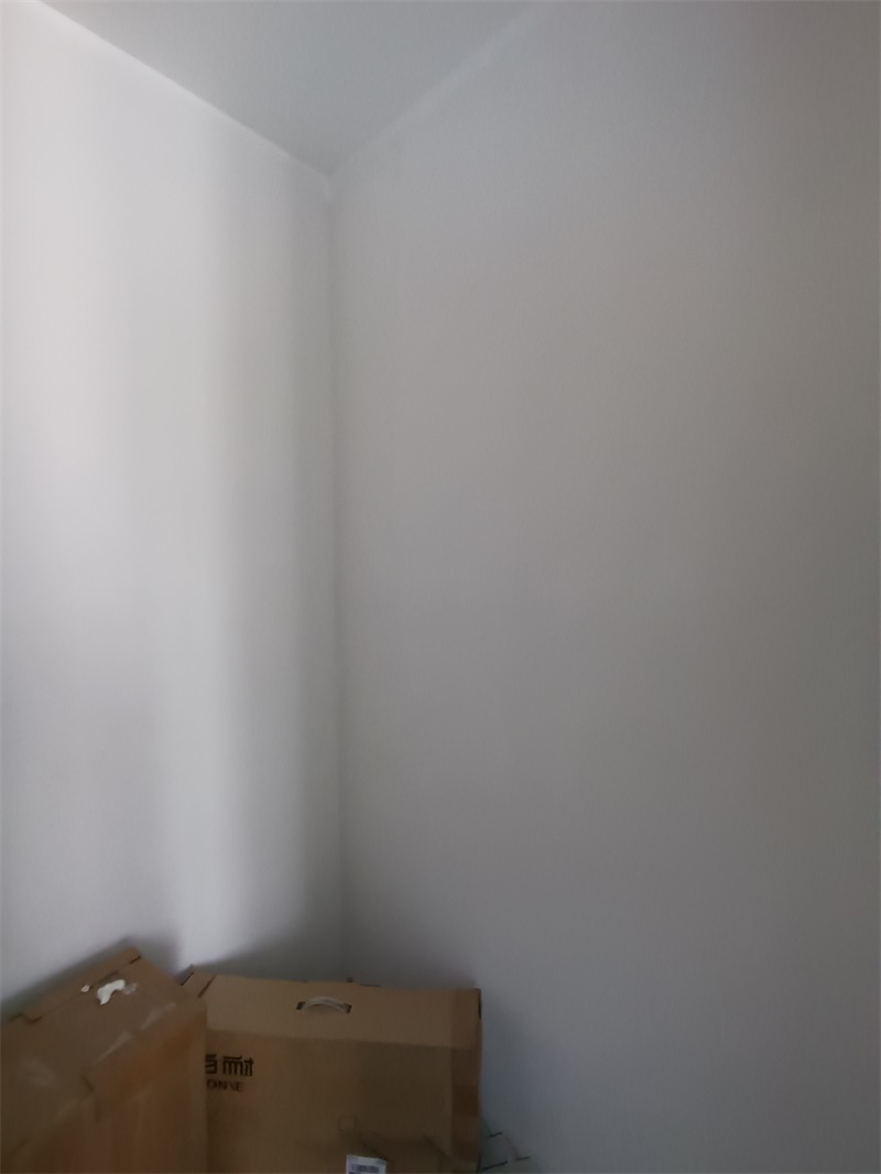 IMG_20240613_150217.jpg