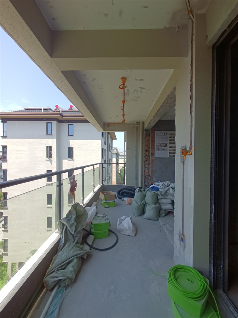 IMG_20240615_104018.jpg