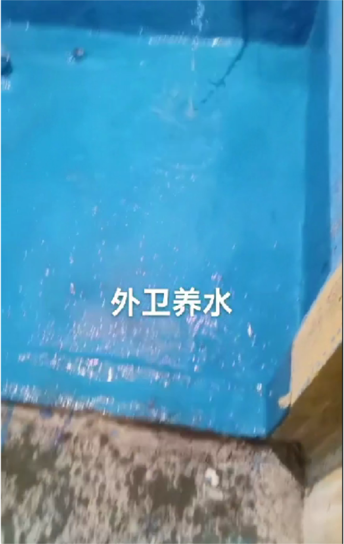 1718607741889.png