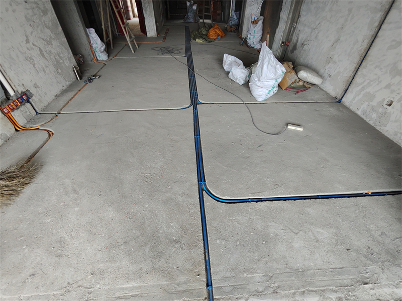 IMG_20240617_144558.jpg