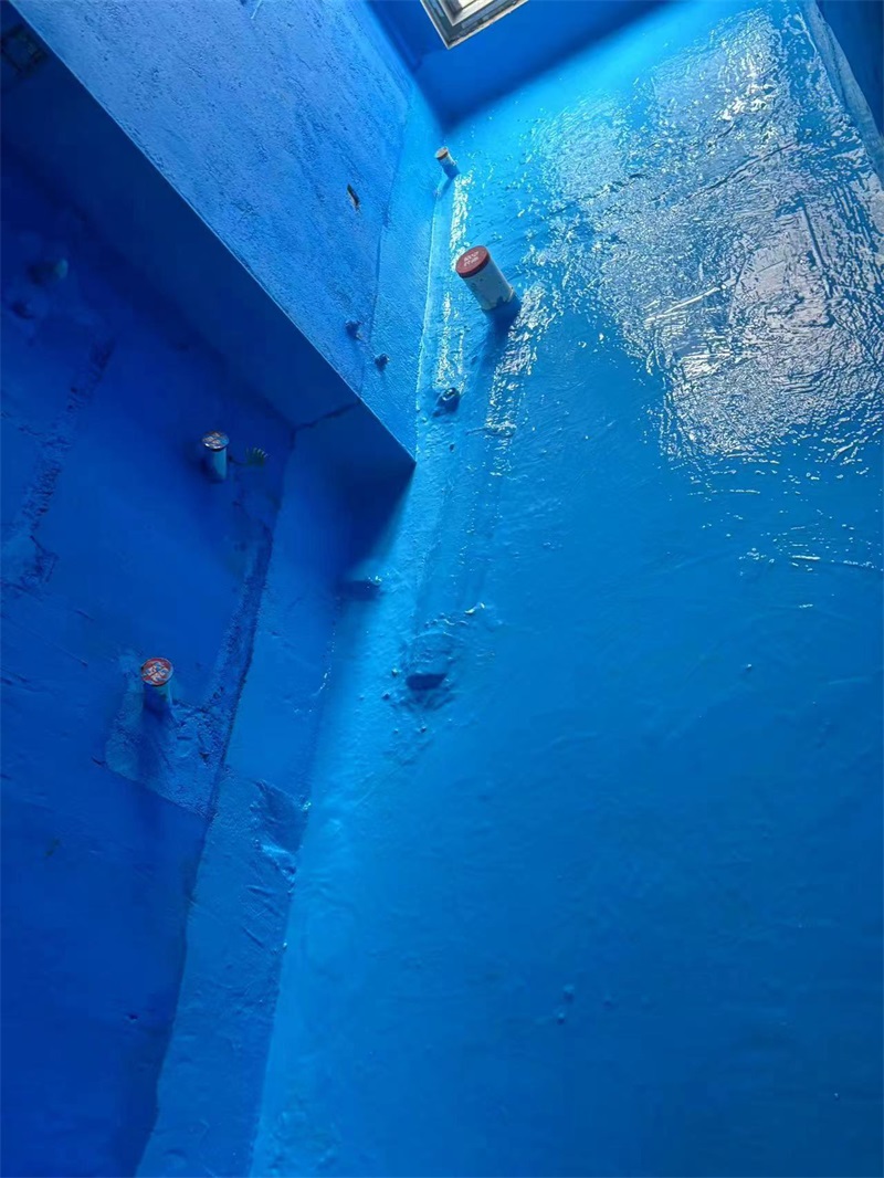 mmexport1718609882415.jpg