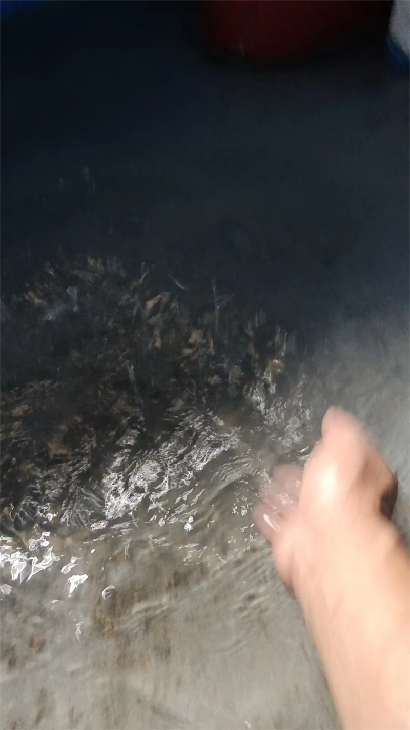 ΢��ͼƬ_20240617172920.jpg
