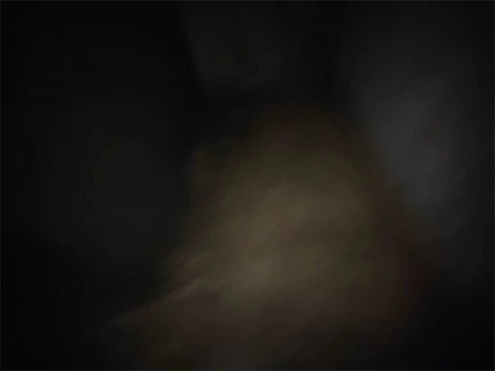aaf5aa7f3782900a5b644431ee403c5.jpg