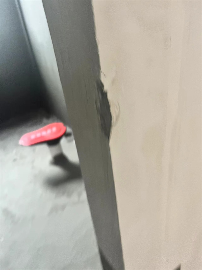 mmexport1718172670728.jpg