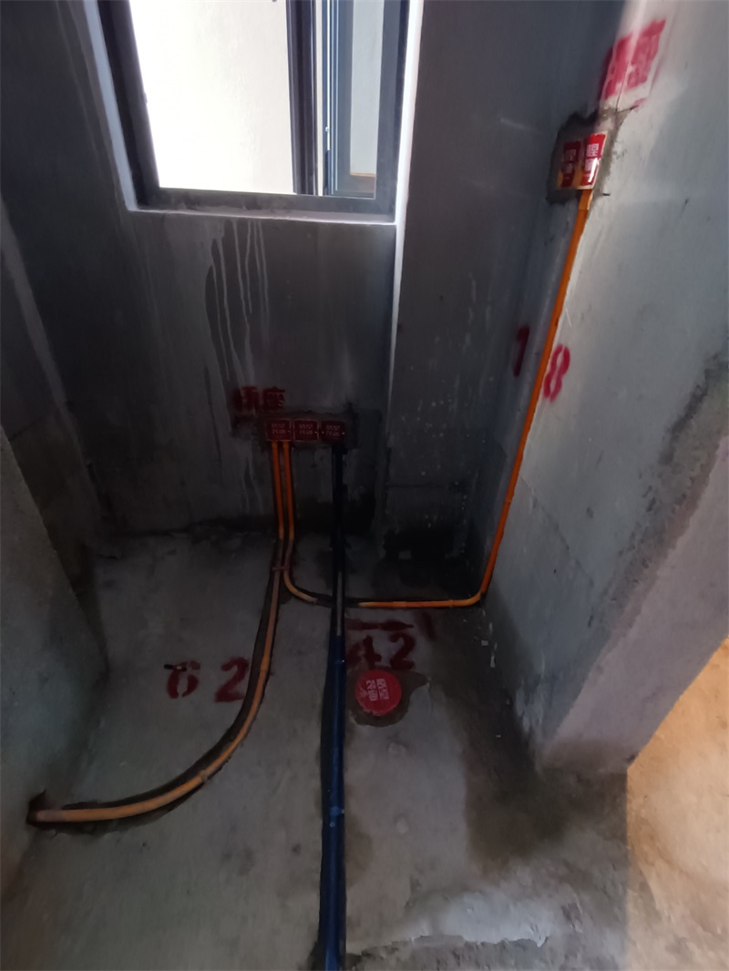 IMG_20240622_165858.jpg