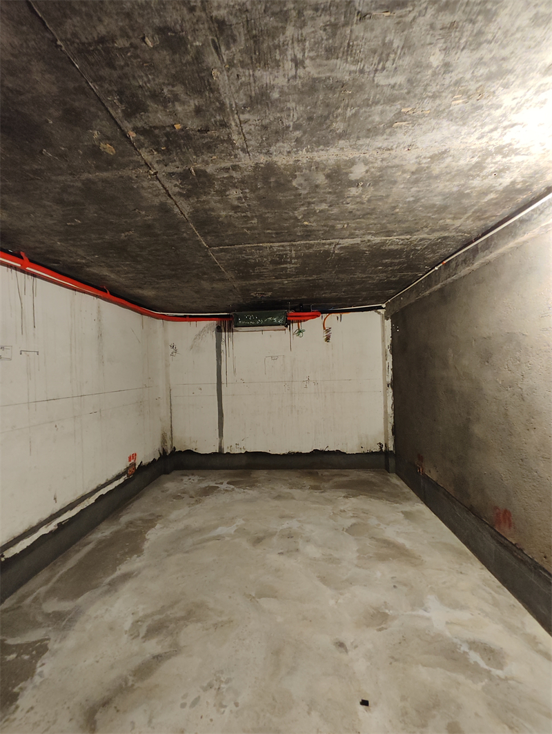 IMG_20240627_101346.jpg