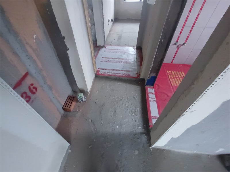 IMG_20240628_085501.jpg