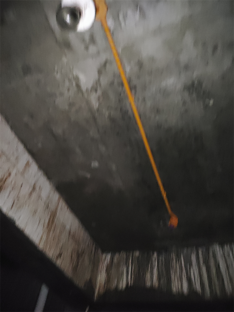 MVIMG_20240706_084448.jpg