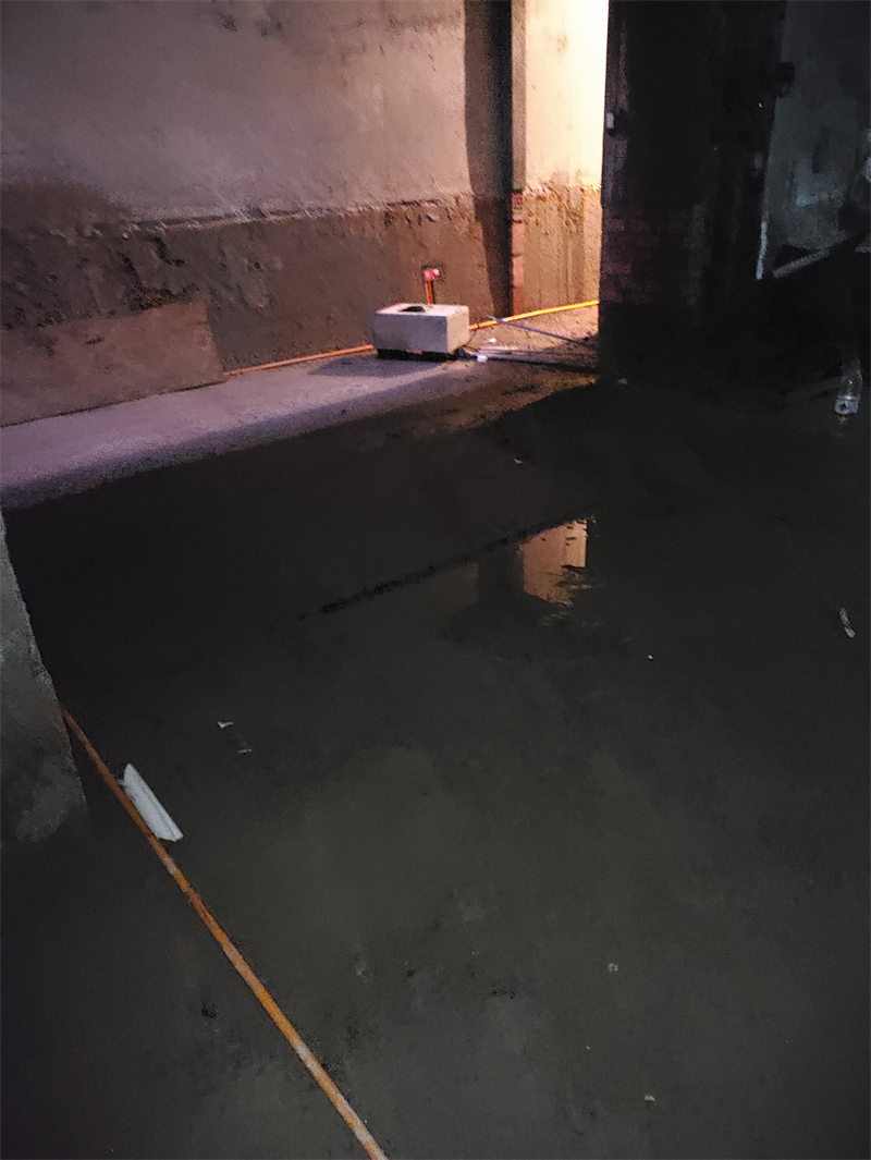 MVIMG_20240706_084545.jpg