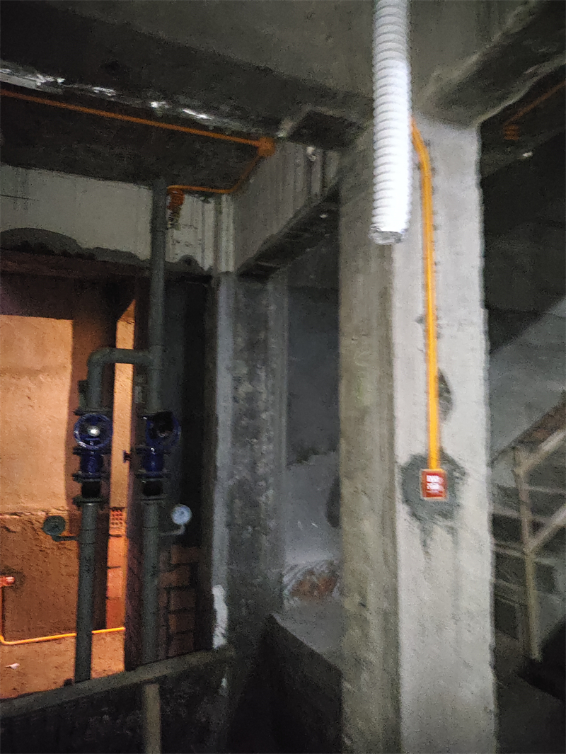 MVIMG_20240706_084626.jpg