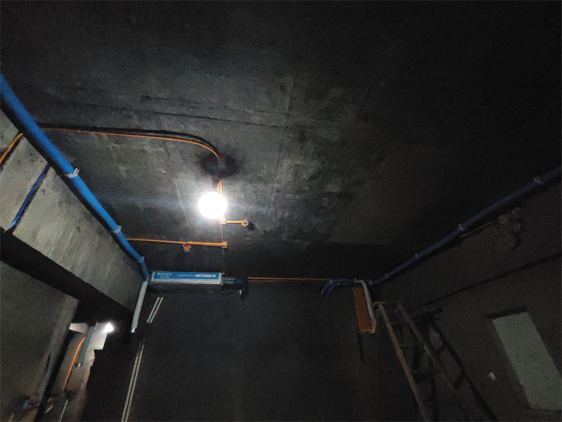 MVIMG_20240706_084747.jpg