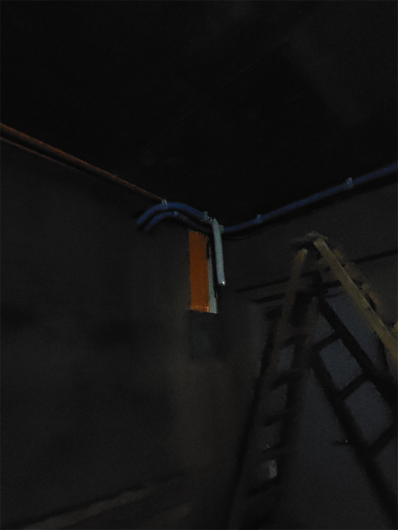 MVIMG_20240706_084825.jpg