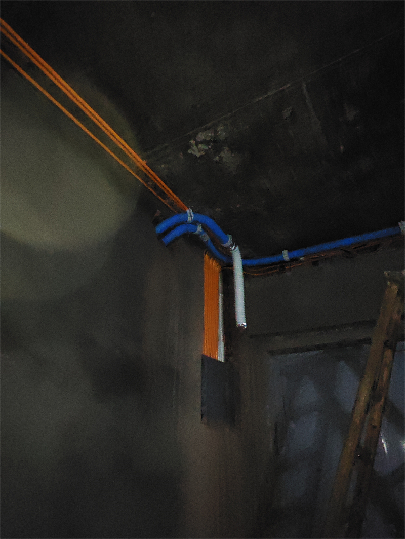 MVIMG_20240706_084841.jpg
