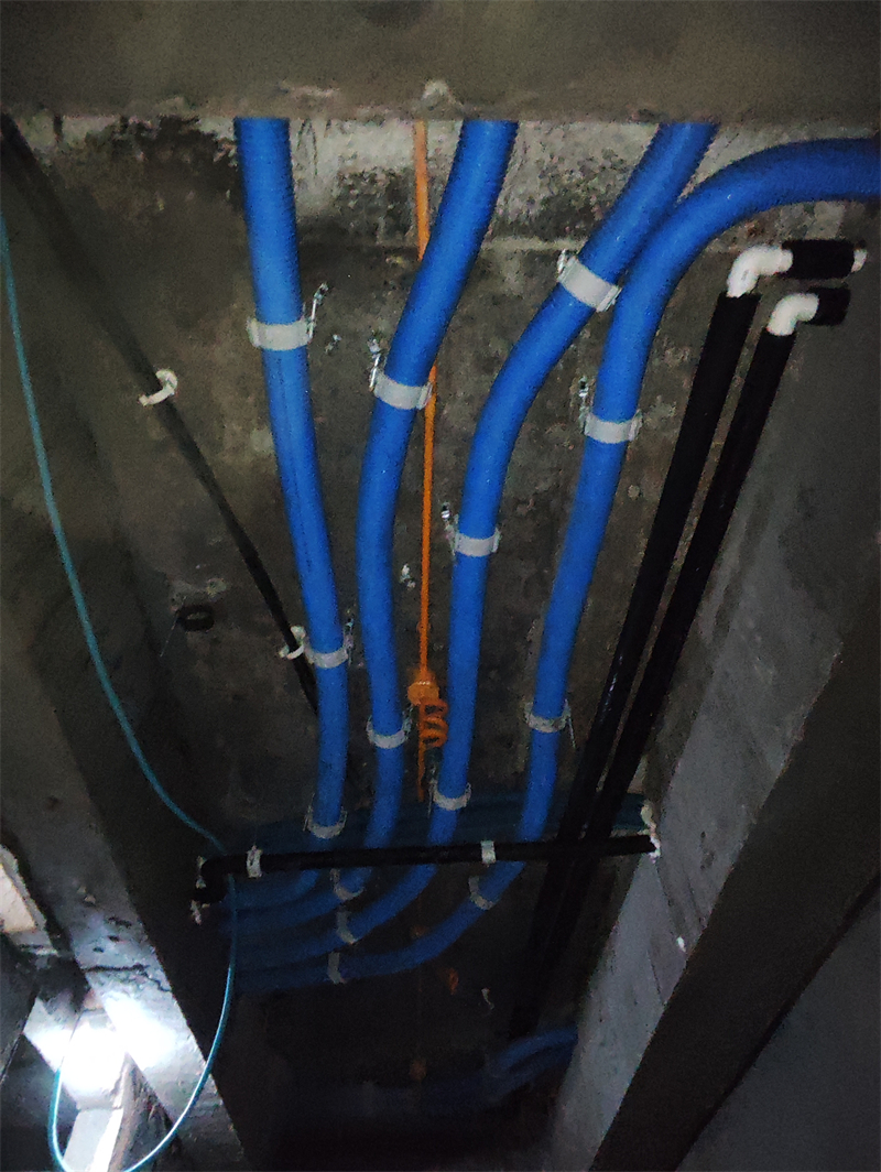 MVIMG_20240706_084950.jpg