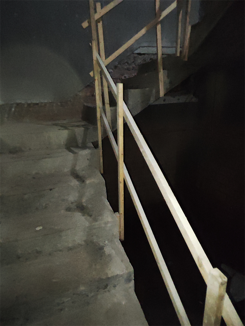 MVIMG_20240706_085229.jpg