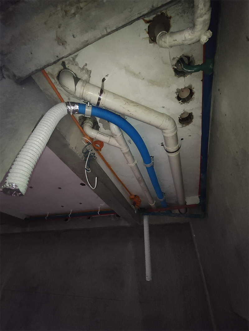 MVIMG_20240706_085610.jpg