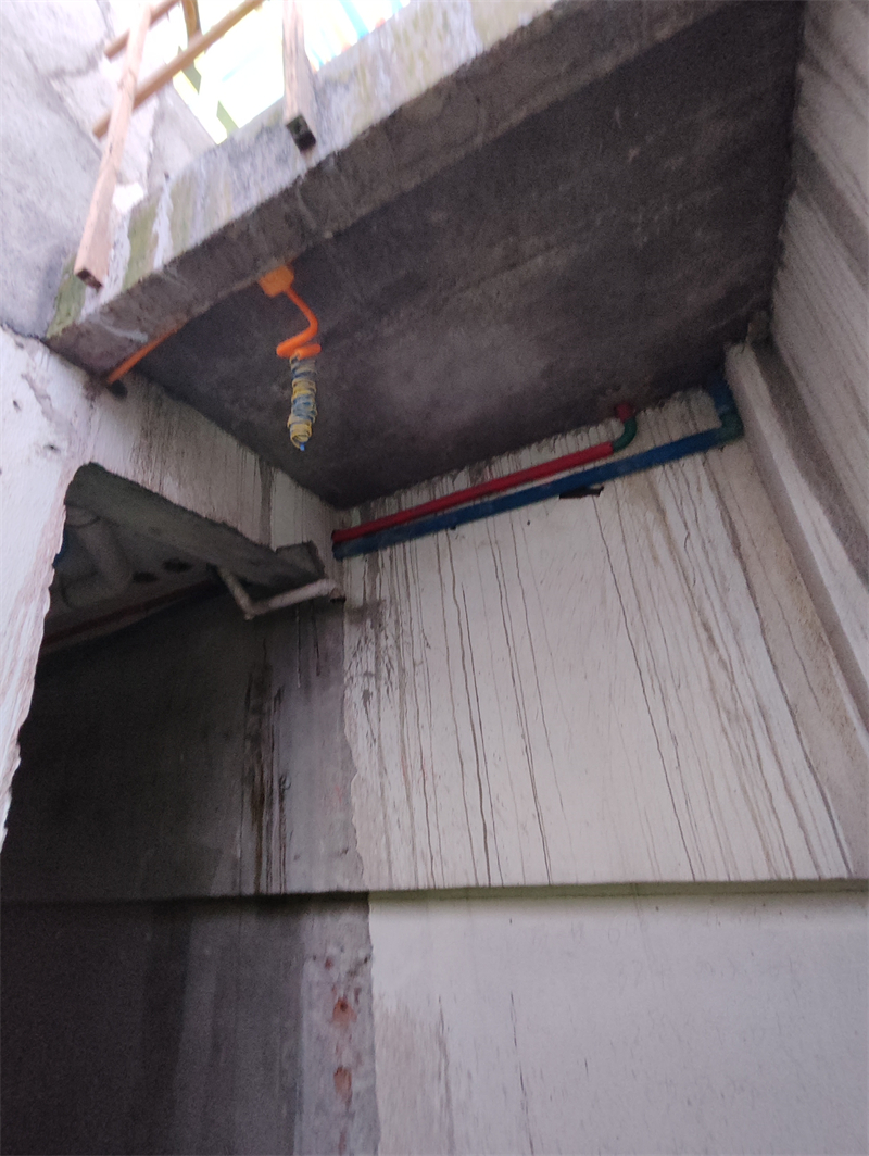 MVIMG_20240706_085601.jpg