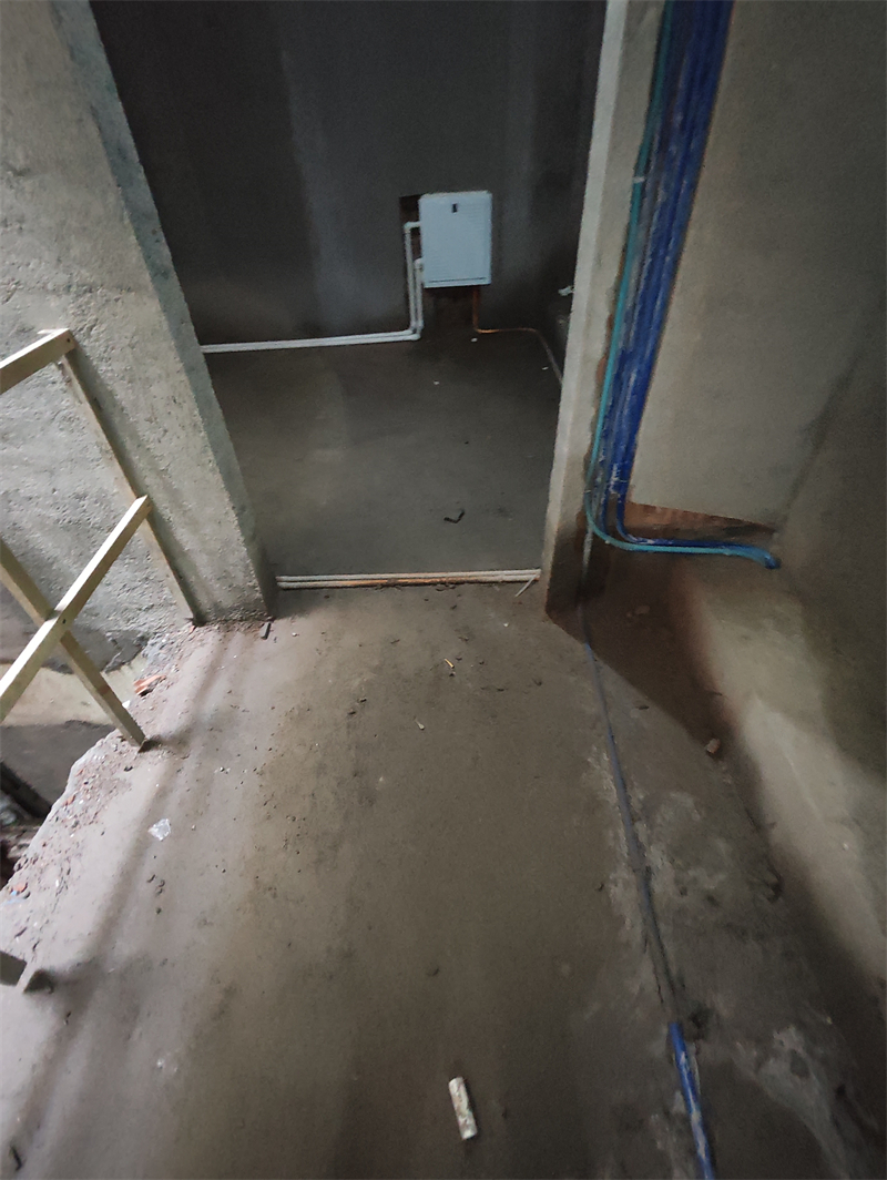 MVIMG_20240706_085830.jpg
