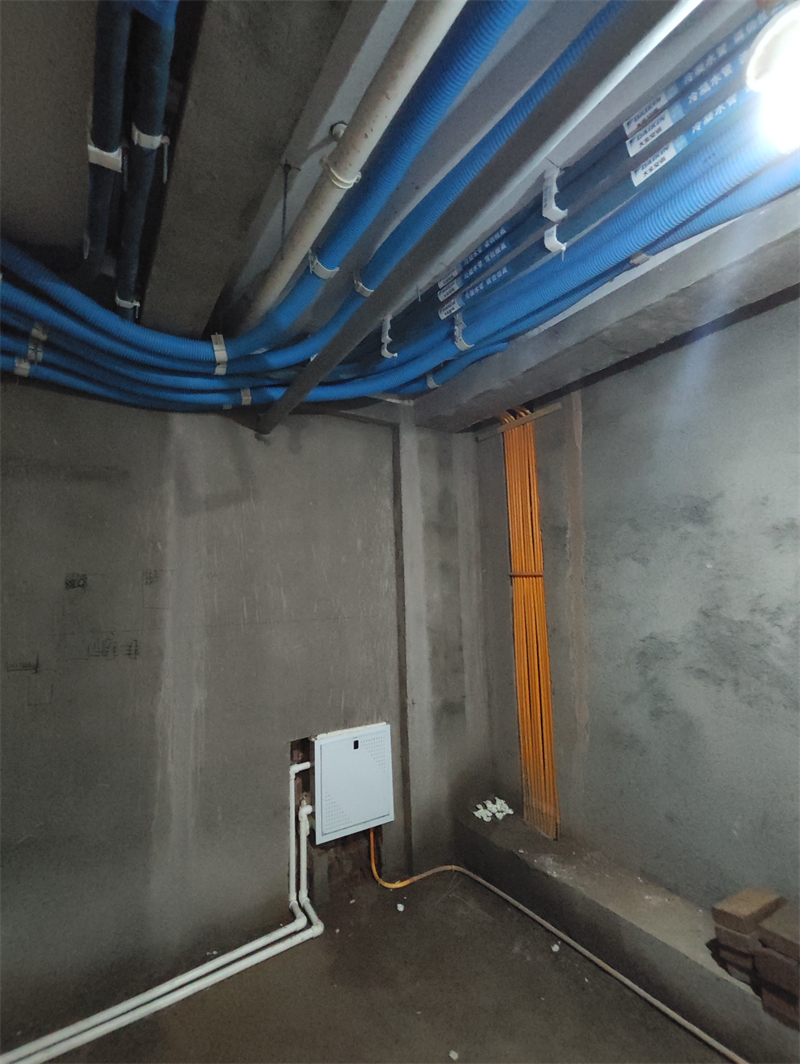 MVIMG_20240706_090127.jpg