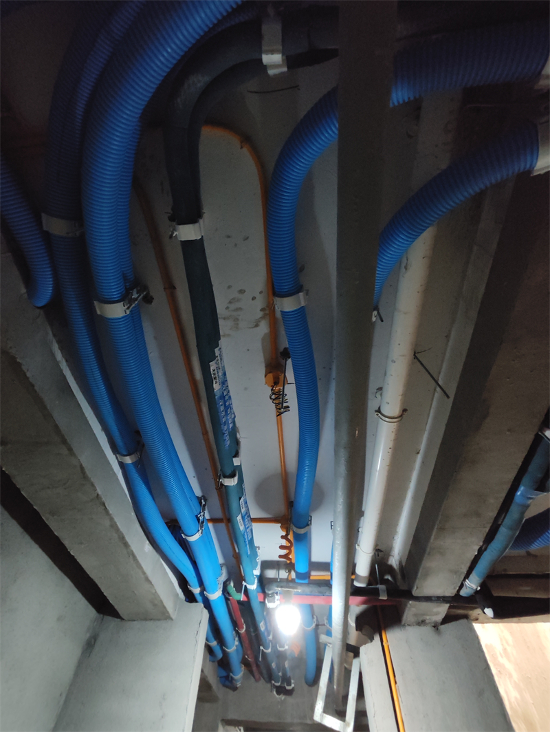 MVIMG_20240706_090144.jpg