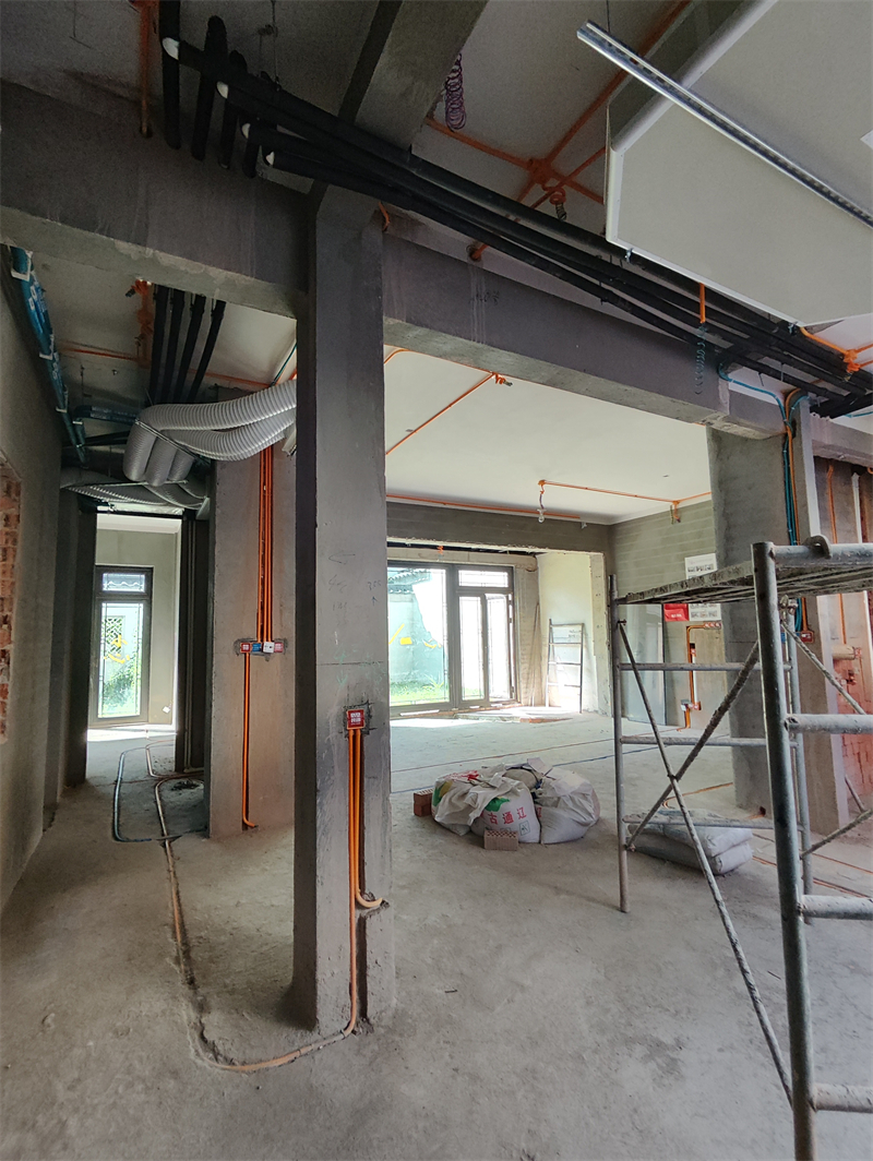 MVIMG_20240706_091147.jpg
