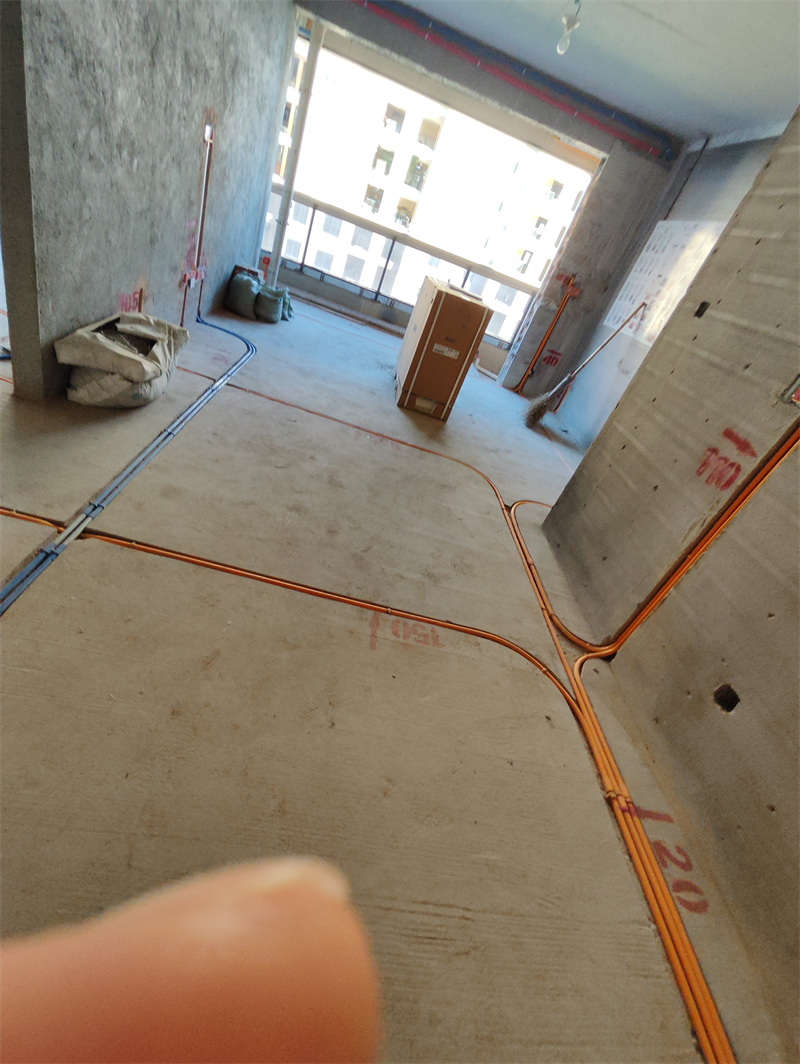 MVIMG_20240705_174532.jpg