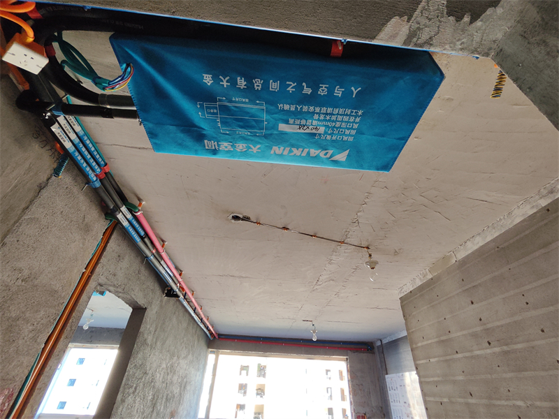 MVIMG_20240705_174526.jpg