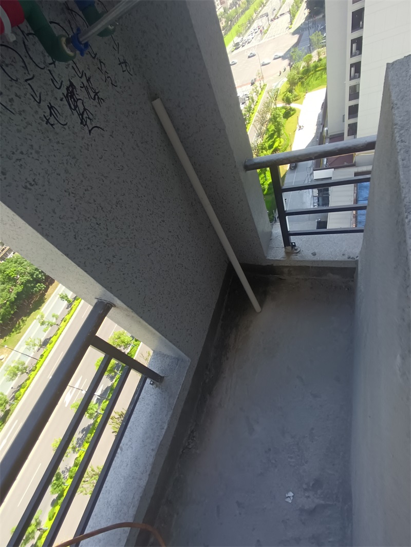 IMG_20240707_090105.jpg