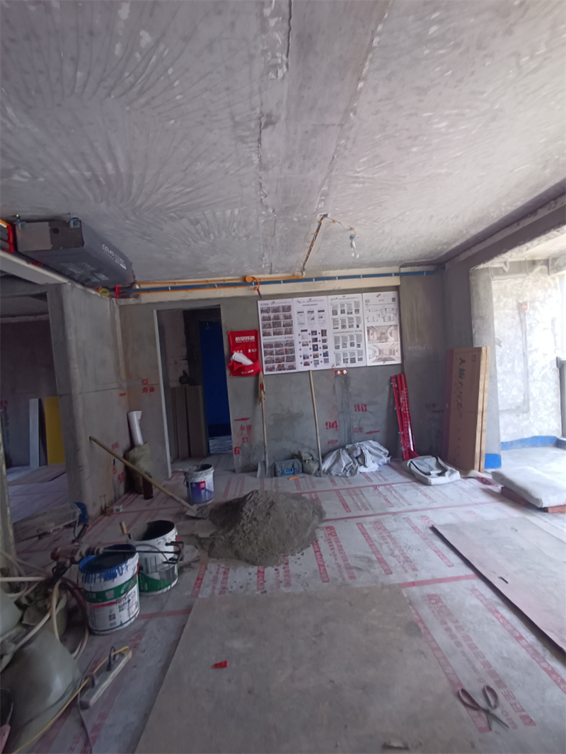 IMG_20240710_112341.jpg