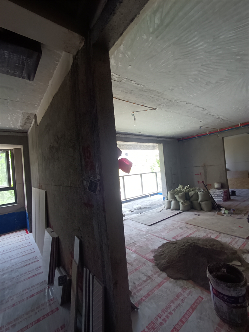 IMG_20240710_112501.jpg