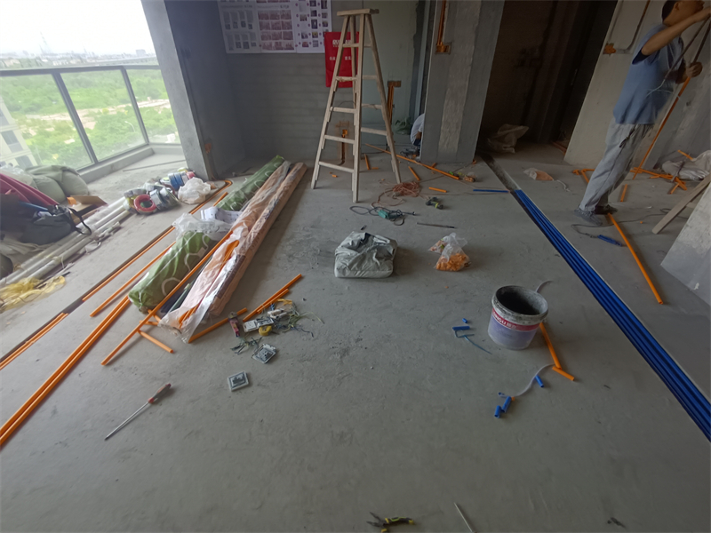 IMG_20240710_114013.jpg