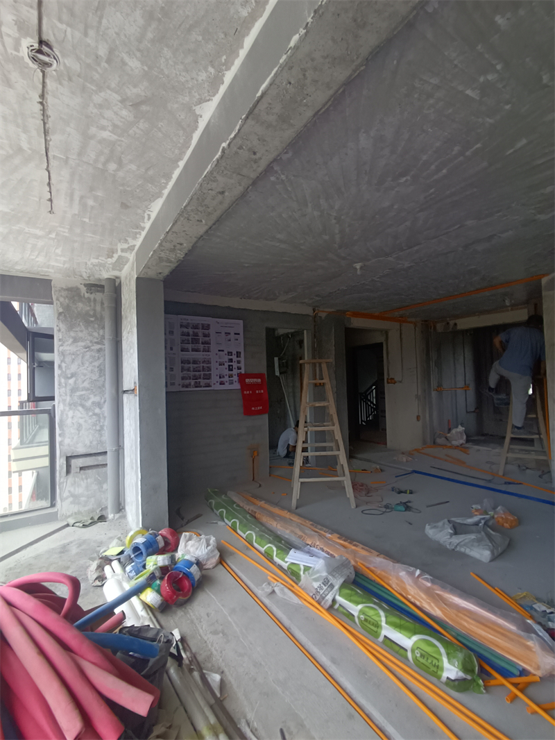 IMG_20240710_114032.jpg