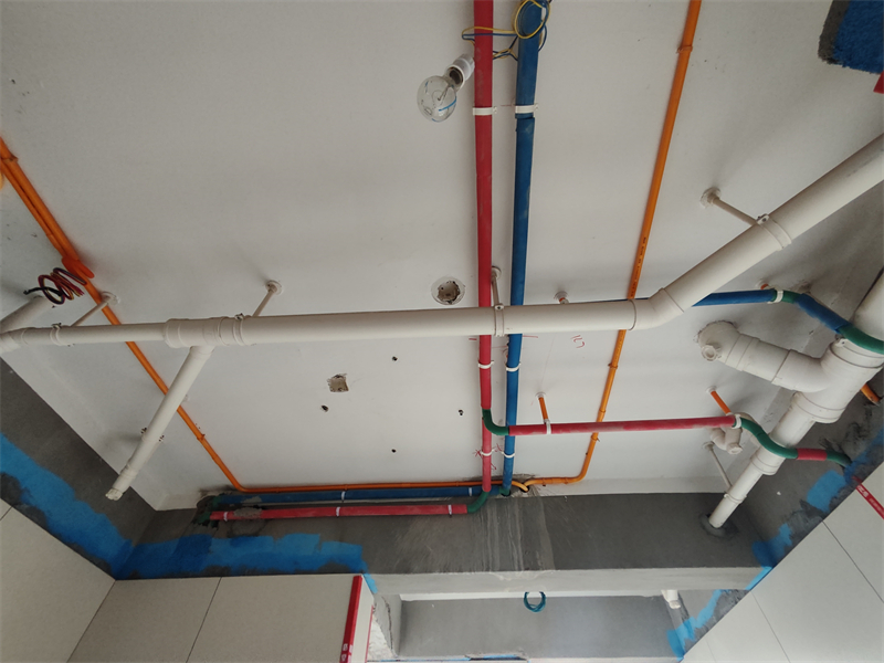 IMG_20240711_170341.jpg