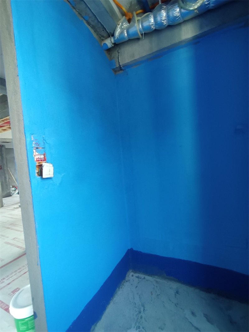 IMG_20240712_100711.jpg