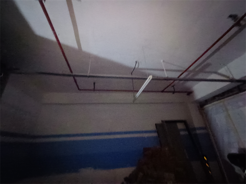 IMG_20240712_110806.jpg