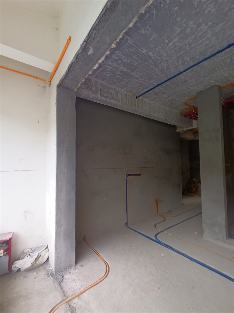 IMG_20240712_112259.jpg