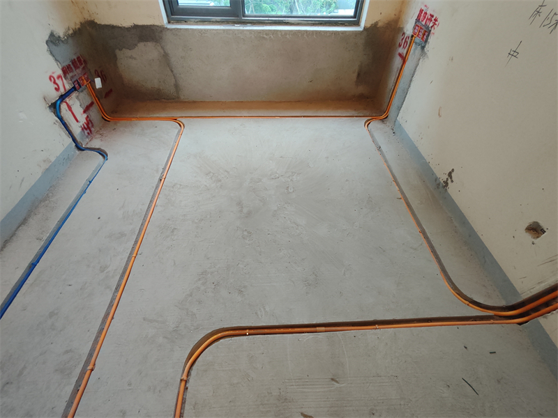 IMG_20240713_153358.jpg
