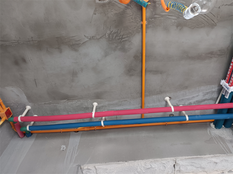 IMG_20240712_080109.jpg