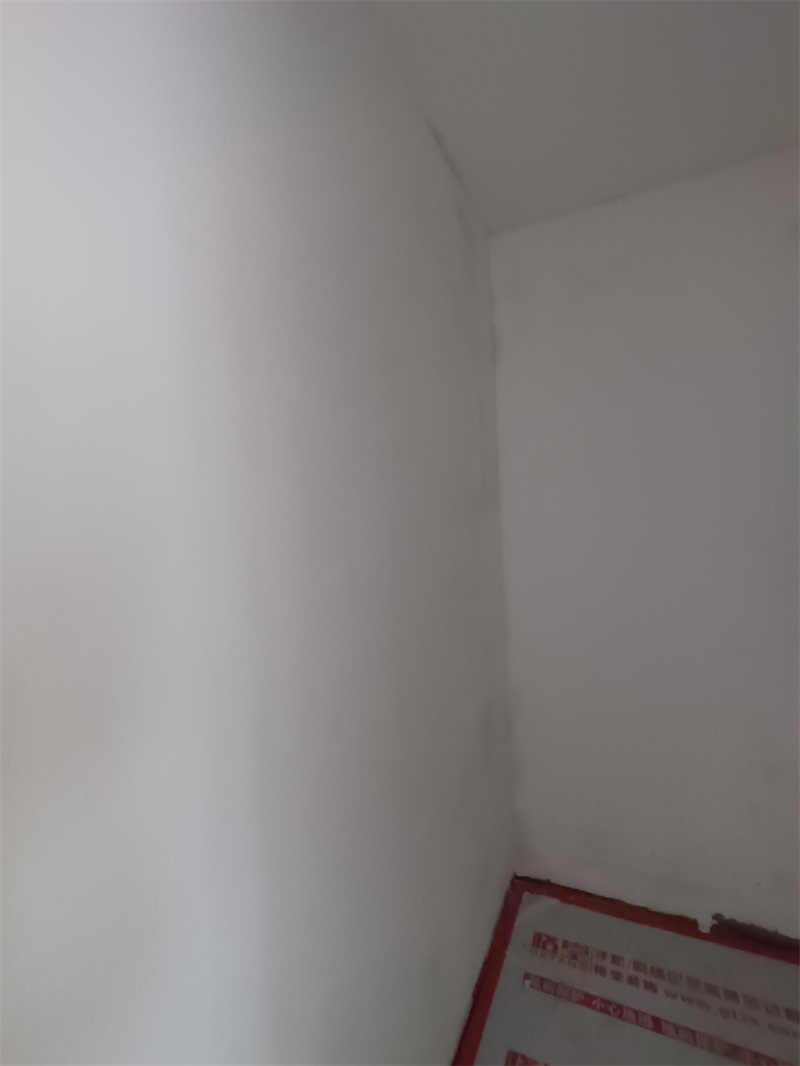 IMG_20240718_083555.jpg