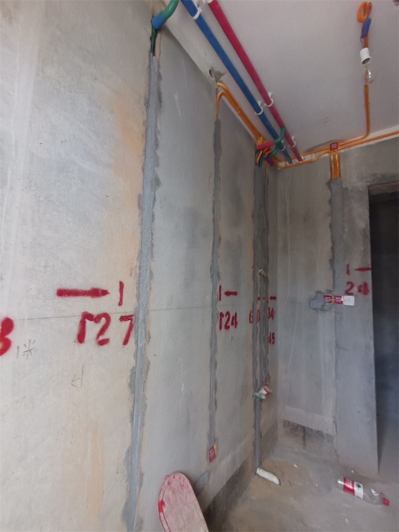 IMG_20240719_081133.jpg