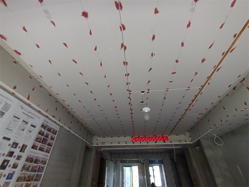 IMG_20240719_085034.jpg